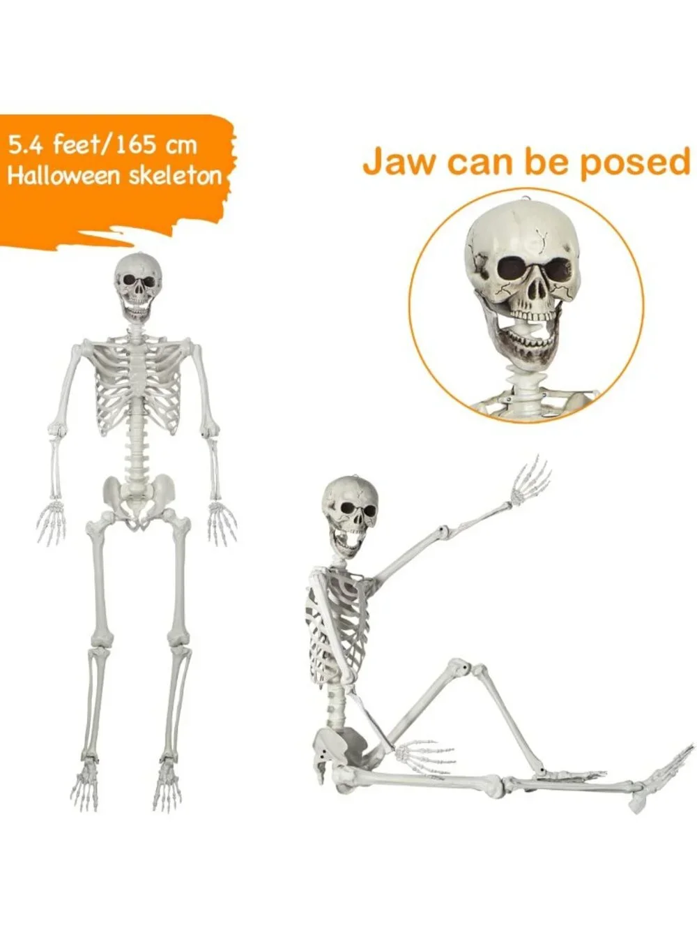 Life-Size 5.4ft Posable Halloween Skeleton - Movable Joints for Spooky Décor